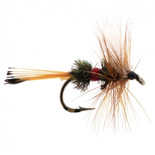 The Essential Fly Royal Coachman Dry Fishing Fly